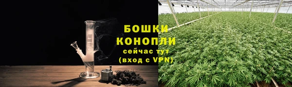 дмт Магас
