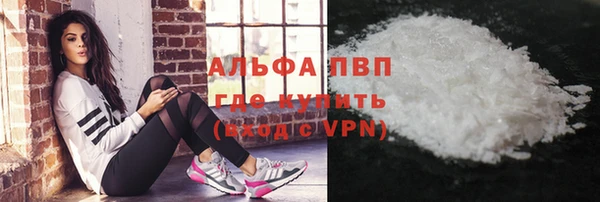 дмт Магас