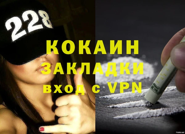 дмт Магас