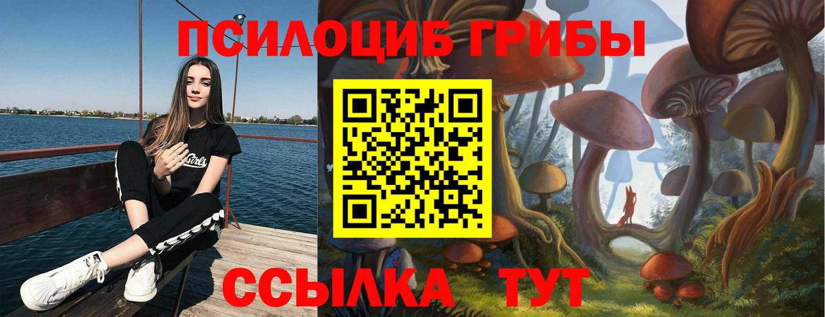 Псилоцибиновые грибы Cubensis Сегежа